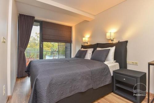 a bedroom with a large bed and a window at Palanga Apartments Near Baltic Sea in Palanga