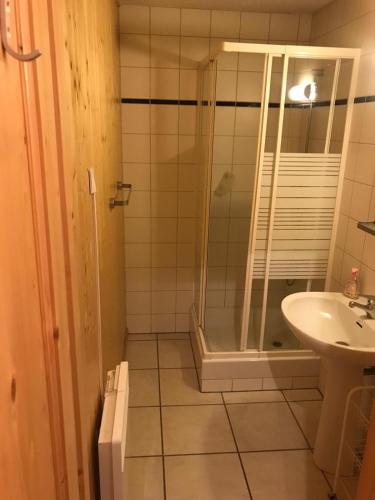 une salle de bain avec douche et lavabo dans l'établissement Les Fledd's, à La Chapelle-dʼAbondance