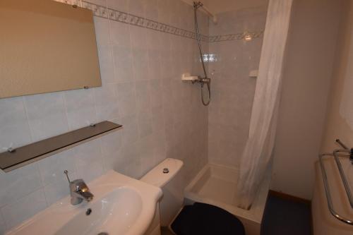 une salle de bain avec toilettes, lavabo et douche dans l'établissement VAUJANYLOCATIONS - Cochette II Apt 1 & 2, à Vaujany