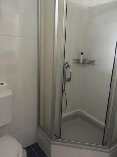 a shower with a glass door in a bathroom at Vadrózsa Vendégház Rácalmás in Rácalmás