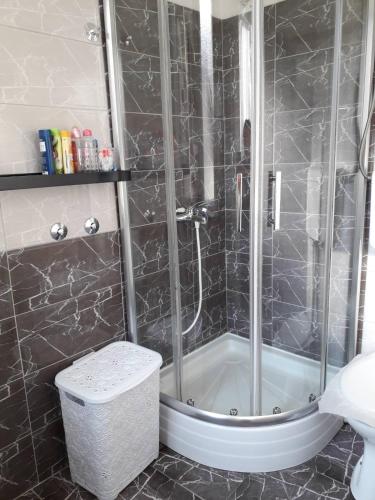 a bathroom with a shower with a tub and a toilet at Apartment Dunja NS in Novi Sad