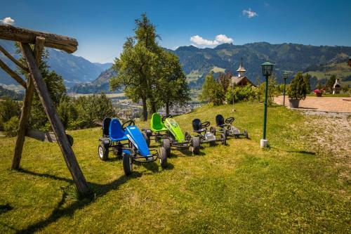 a row of motor scooters parked in the grass at Mitterbichlhof in Sankt Johann im Pongau