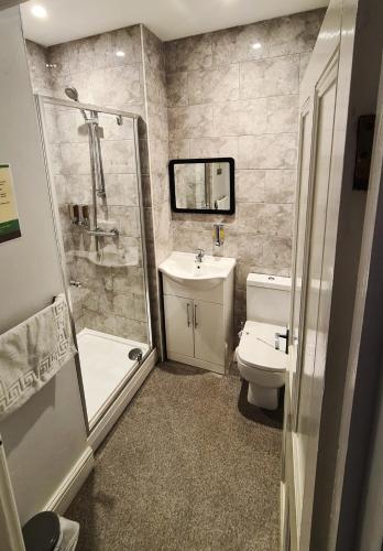 a bathroom with a shower and a toilet and a sink at The Alb in Shrewsbury