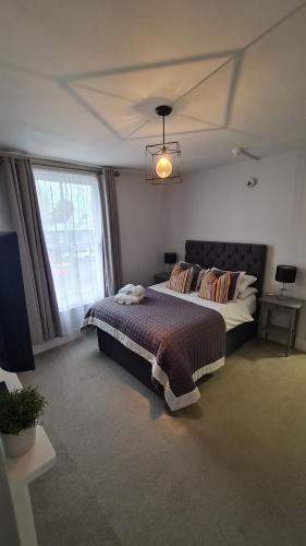 a bedroom with a bed and a large window at The Alb in Shrewsbury
