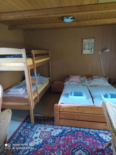 a bedroom with two bunk beds and a rug at Chata Dvorečná in Loučovice