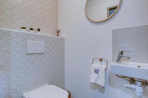 une salle de bain avec toilettes, lavabo et miroir dans l'établissement Les Bailicîmes - Snow and Trek, à Morzine