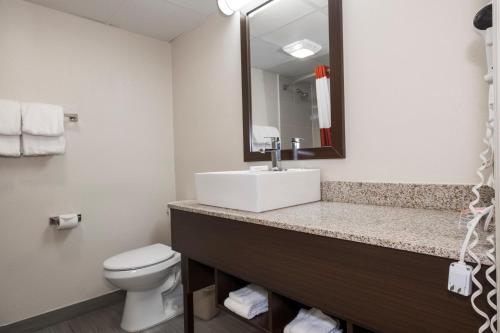 a bathroom with a sink and a toilet and a mirror at Red Roof Inn PLUS+ Poughkeepsie in Poughkeepsie