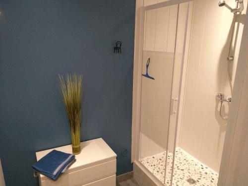 a bathroom with a shower and a toilet with a plant at Joli petit logement en centre ville de Brioude in Brioude
