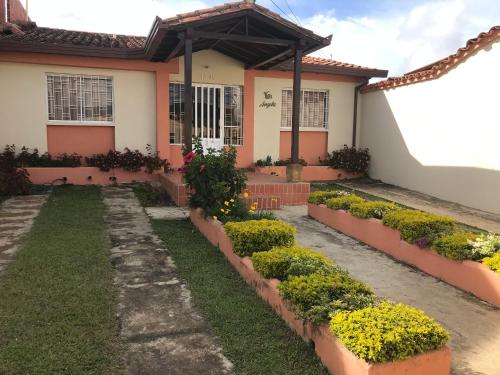 Сад в Villa Angela
