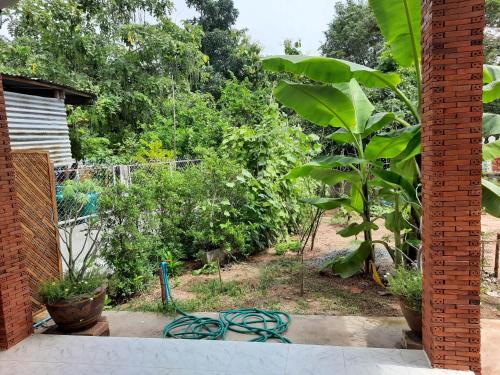 a garden with a hose sitting on a patio at Pottery Street House in Sukhothai