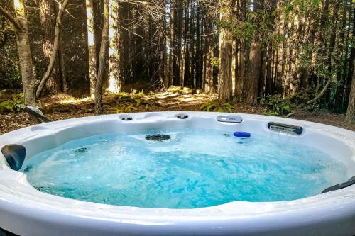 Pomo Creek Cabin – Photos 2