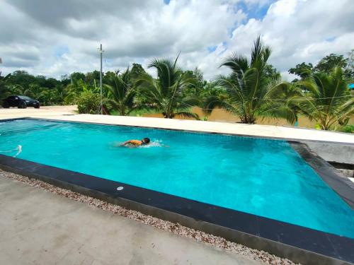 a dog swimming in a large blue swimming pool at BN Resort in Ban Nong Chum Saeng