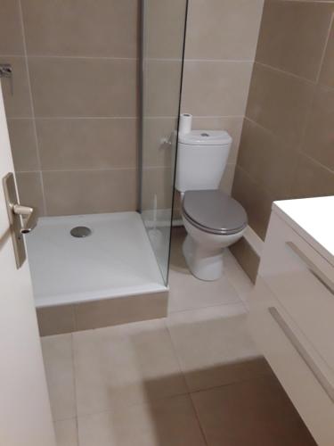 a bathroom with a toilet and a shower at Hôtel du Midi in Domène