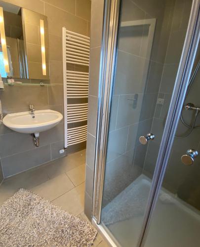 a bathroom with a glass shower and a sink at Wilsmann Apartmentvermietung in Hövelhof