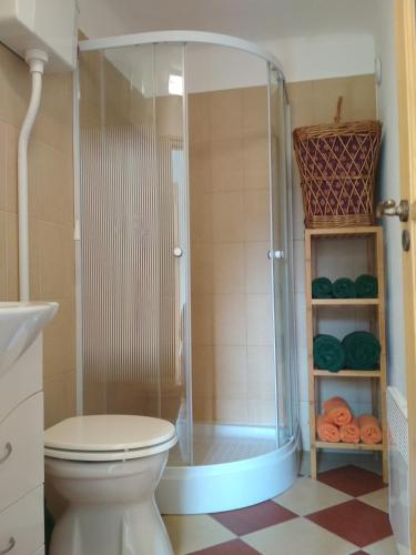 a bathroom with a shower with a toilet in it at Tettyei Házikó in Pécs