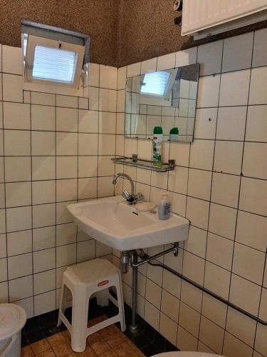a bathroom with a sink and a mirror at Hoeve de Laan in Woudenberg
