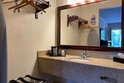 een badkamer met een wastafel en een spiegel bij Econo Lodge in Forest City