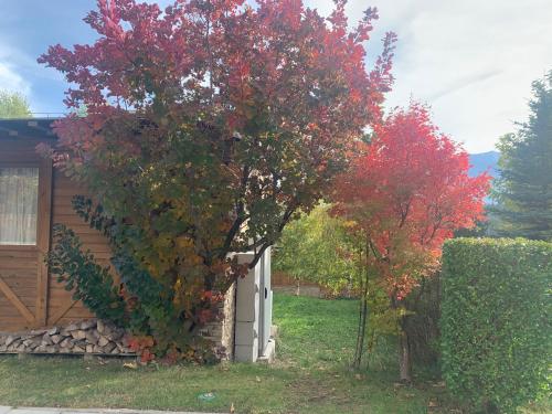 a tree with red leaves next to a house at Katarino Mountain House in Razlog