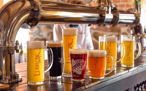 a row ofints of beer on a bar at Pałac Spichrz in Borcz