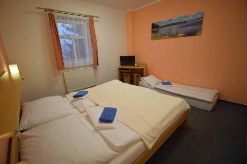  Hotel Emeran -  Room  picture :   Shower    TV    Hairdryer                           
