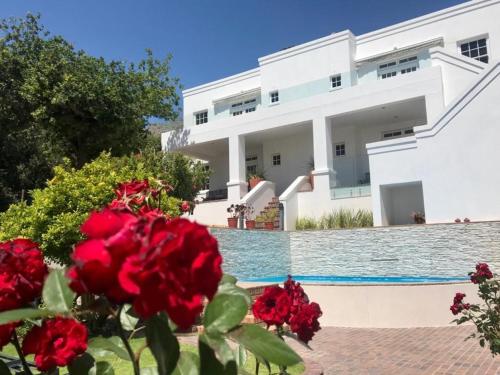 Villa mit einem Pool und roten Rosen in der Unterkunft Manor on the Bay in Gordonʼs Bay