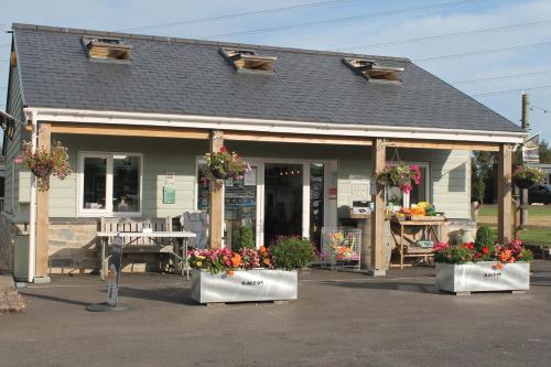 a flower shop with three flower pots of flowers at Higher Moor Farm in Weymouth