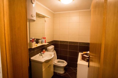 a small bathroom with a toilet and a sink at Kuća za odmor Gloria in Travnik