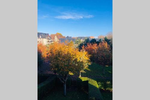 un arbre avec des feuilles d'automne dans un parc dans l'établissement La petite madeleine de Proust, à Cabourg