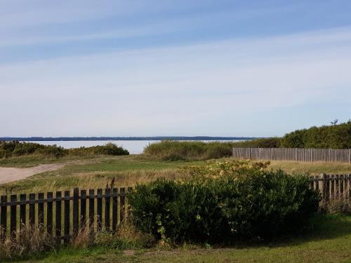 a fence and a bush in front of a body of water at Beachhouse Langeland 20 m to private Beach in Tranekær