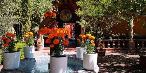 a group of vases filled with flowers on a table at Hotel Sautto in San Miguel de Allende