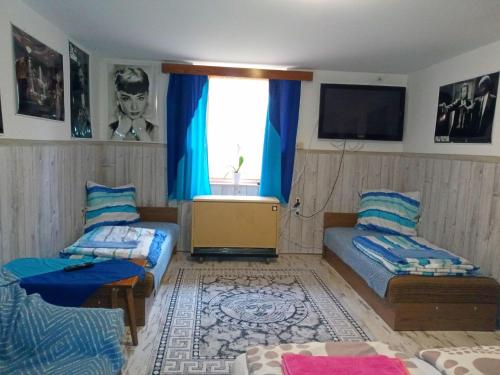 ein Wohnzimmer mit 2 Betten und einem TV in der Unterkunft Kata Apartman in Sátoraljaújhely