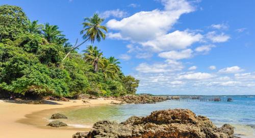 una playa de arena con palmeras y el océano en Novissima Casa a 50mt do Mar na Praia Portodecima!, en Morro de São Paulo