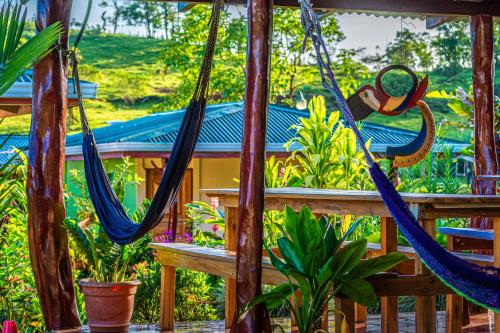 eine Veranda mit Hängematten und ein Haus in der Unterkunft Rio Celeste Springs Blue Lodge in Bijagua