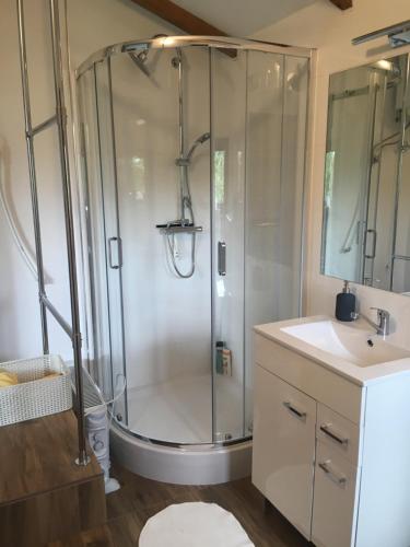 a bathroom with a shower and a sink at Czytelnia w Sadzie in Krzykawka