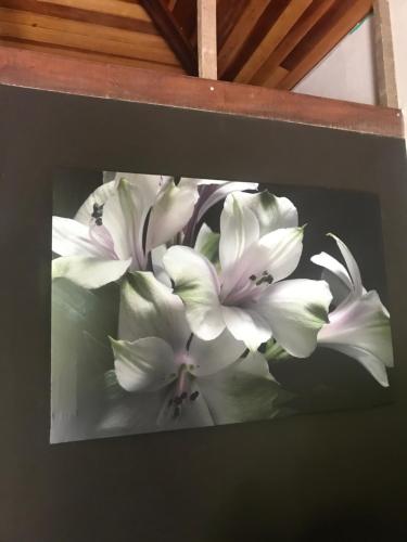 a picture of white flowers in a picture frame at Chales em Salesopolis - Recanto da Barra in Salesópolis