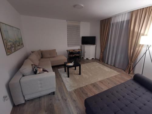 ein Wohnzimmer mit einem Sofa und einem Tisch in der Unterkunft Apartman Centar in Aleksandrovac