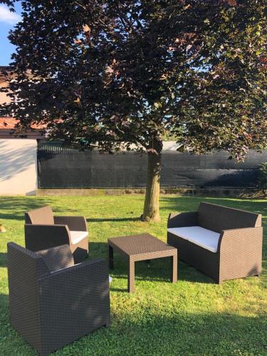 3 Stühle und ein Tisch im Gras unter einem Baum in der Unterkunft B&B Agli ulivi in Gemona del Friuli