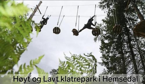a group of people hanging from a line with plants at Skarsnuten Panorama 61, Hemsedal in Hemsedal