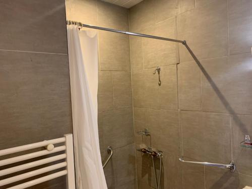 La salle de bains est pourvue d'une douche avec rideau de douche. dans l'établissement hôtel Le Cosy, à Pont-de-Chéruy