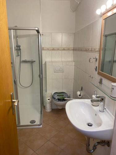 een badkamer met een douche, een wastafel en een toilet bij Forsternest in Hameln