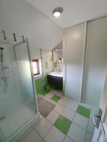 a bathroom with a shower and a sink at Gîte Le Bonnet in Marlieux