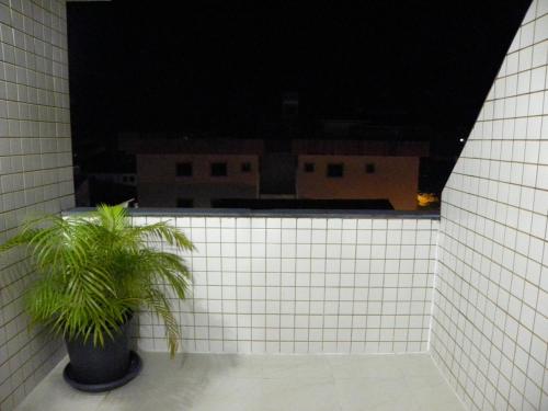 eine Pflanze in einem Topf neben einer weißen Kachelwand in der Unterkunft Apartamento 3 quartos de cobertura na Praia Grande em Ubatuba in Ubatuba