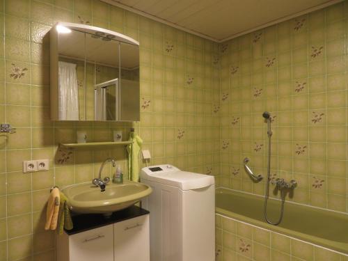 a bathroom with a sink and a shower at Zum Herrenwald in Stadtallendorf