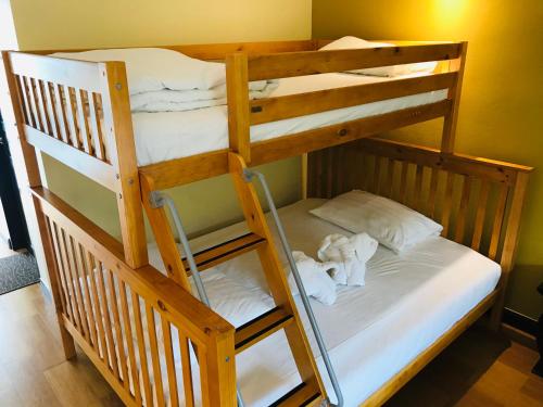 a couple of bunk beds with a dog on the bottom bunk at Baan Sang Singh in Chiang Mai