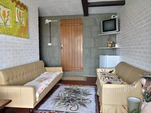 Una sala de estar con dos sofás y un televisor. en Recanto dos Pioneiros, en Nova Petrópolis