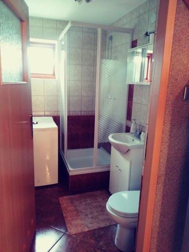 La salle de bains est pourvue de toilettes, d'un lavabo et d'une douche. dans l'établissement Dom na skraju lasu, à Płaska