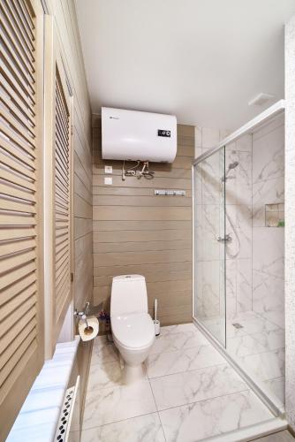 a bathroom with a toilet and a shower at New Historical Museum Apartment in Kharkiv