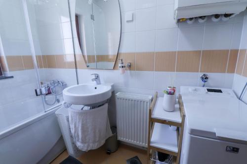uma casa de banho com um lavatório, um espelho e uma banheira em Timber Apartment em Bohinj