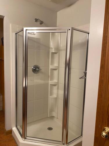 a shower with glass doors in a bathroom at Mountain house in Palmerton