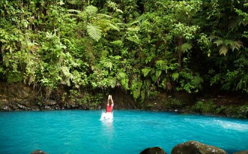 a person in a pool of blue water with trees at Posada Río Celeste La Amistad in Rio Celeste